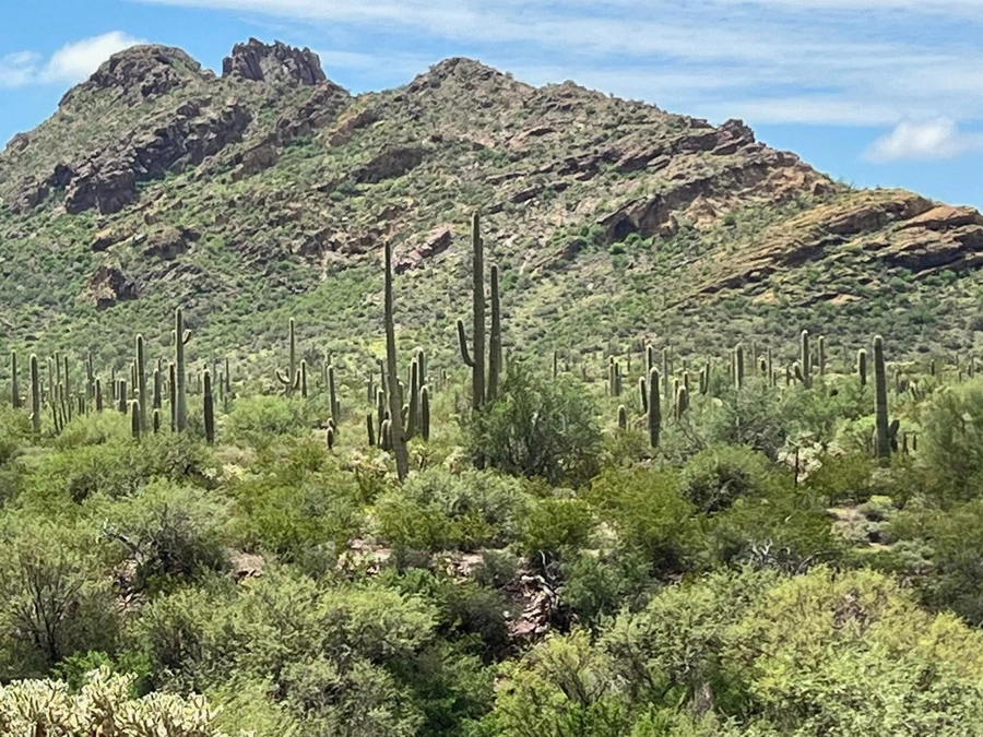 Desert Acreage in Pima County