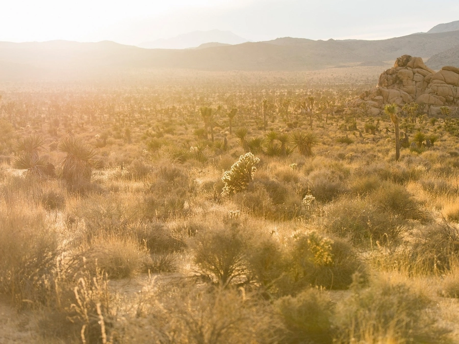 Vacant Lots in Pima County